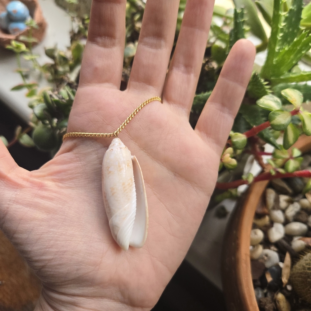 Vintage Gold Oliva Reticularis Netted Olive Shell Necklace